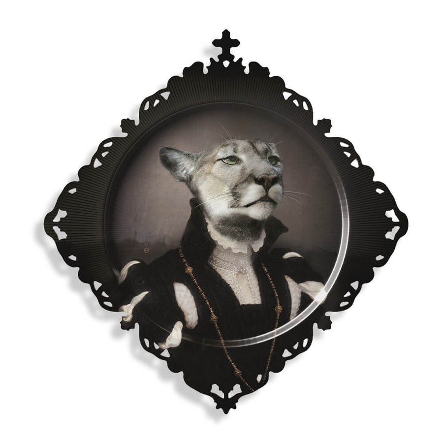Ibride Designs  | Trays Size M | Medicis
