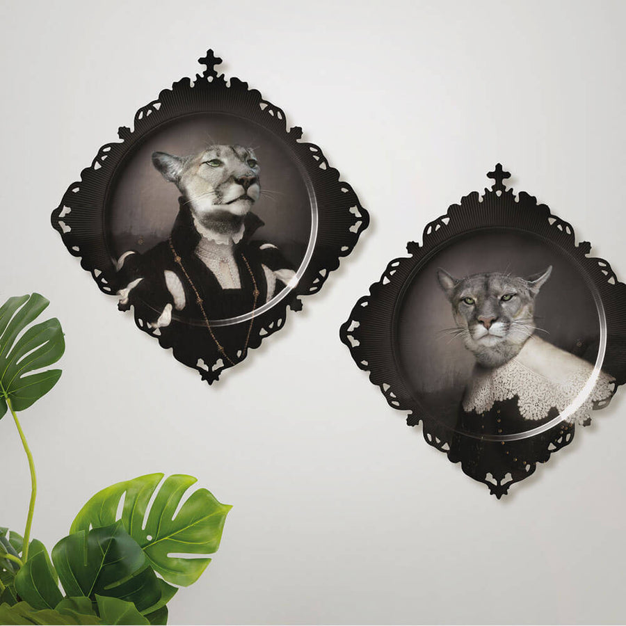 Ibride Designs  | Trays Size M | Medicis