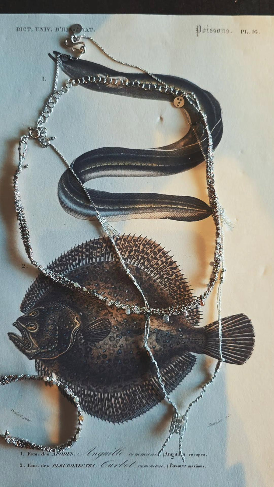 Necklace diamond drops (Sterling Silver - Rhodium Plated)