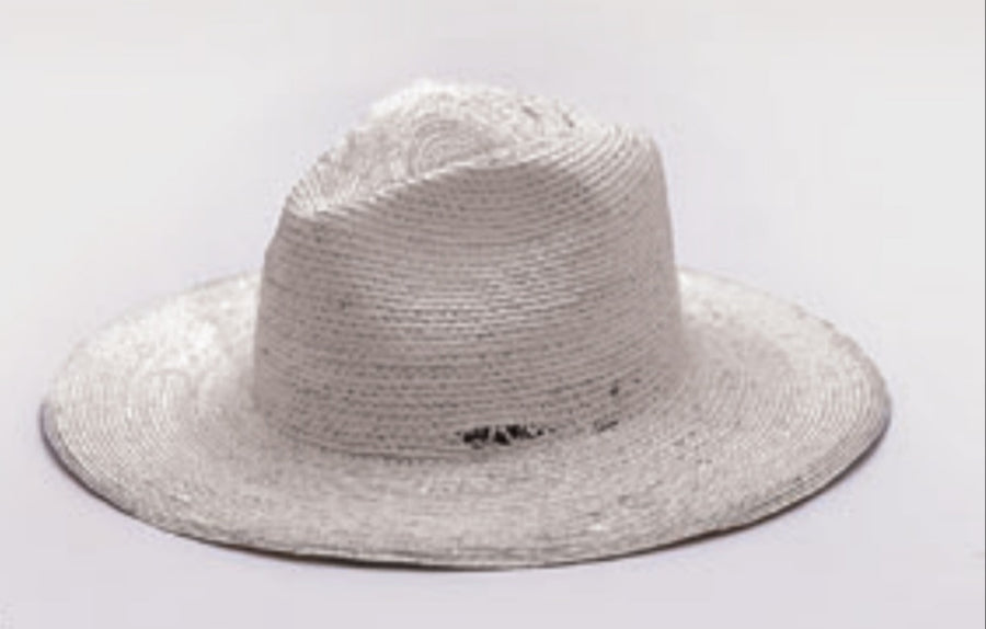 Reinhard Plank hat