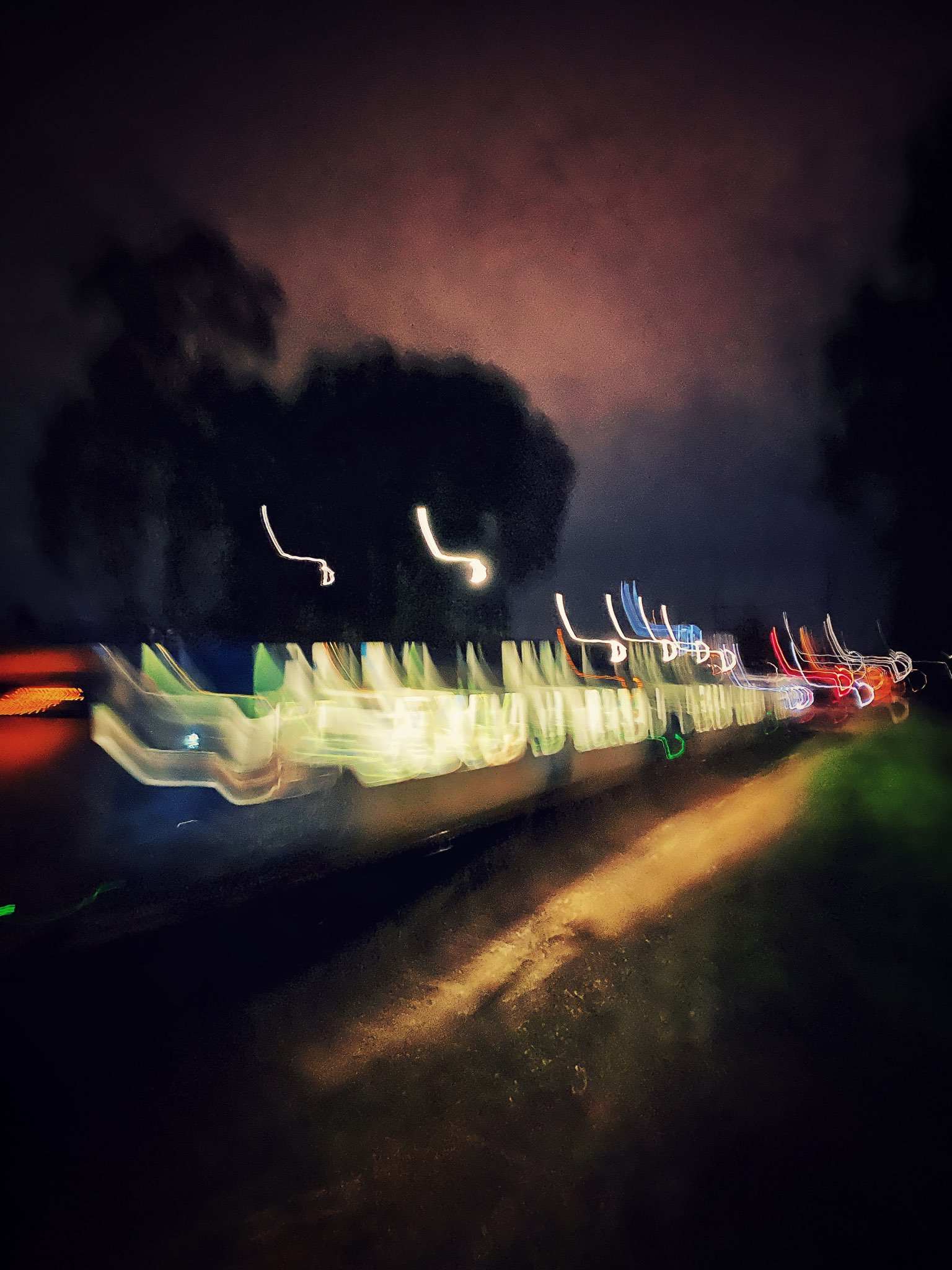 Zoom