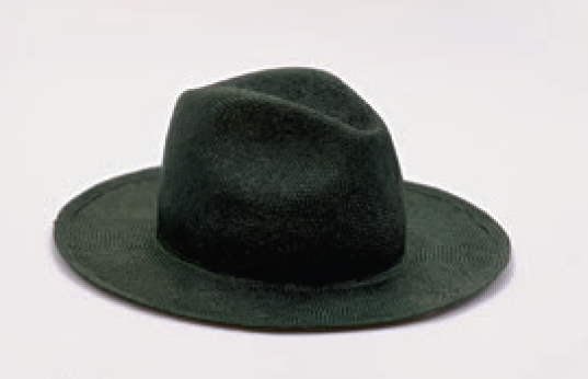 Reinhard Plank Boncia hat - green