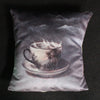 Anita Mertzlin velvet storm in a teacup cushion